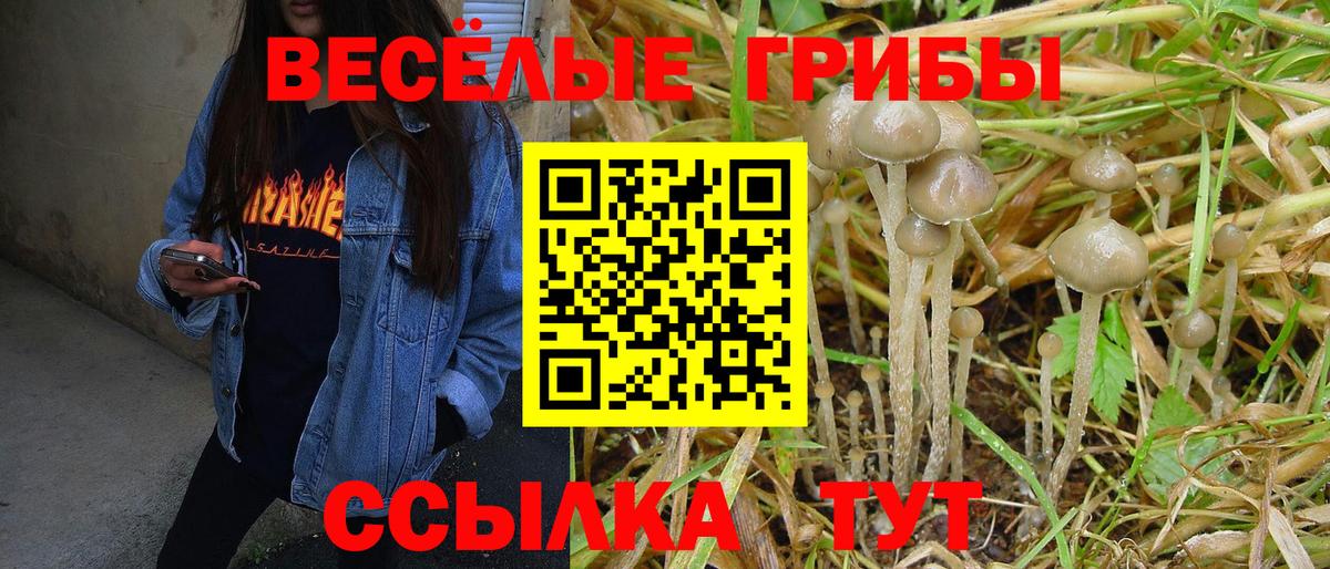 Галлюциногенные грибы ЛСД Реж