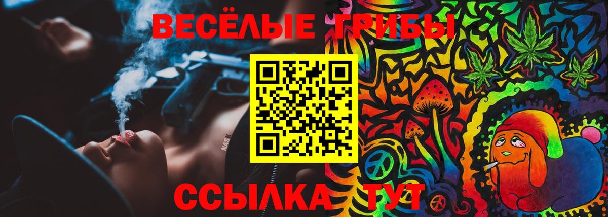 Реж  Псилоцибиновые грибы мицелий  Вход с VPN 